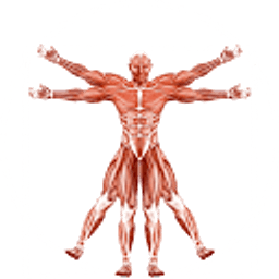Dr. Muscle